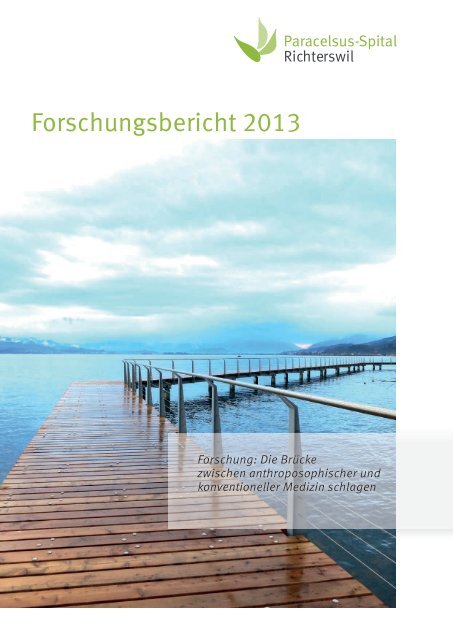 Forschungsbericht 2013