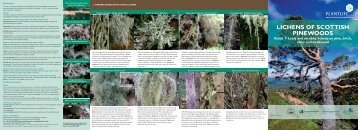 LICHENS OF SCOTTISH PINEWOODS - Plantlife