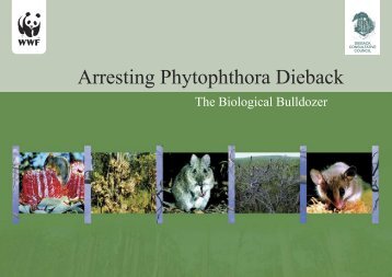 Arresting Phytophthora Dieback - Forest Phytophthoras of the World