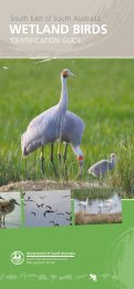 wetland birds - South East Natural Resources Management Board ...