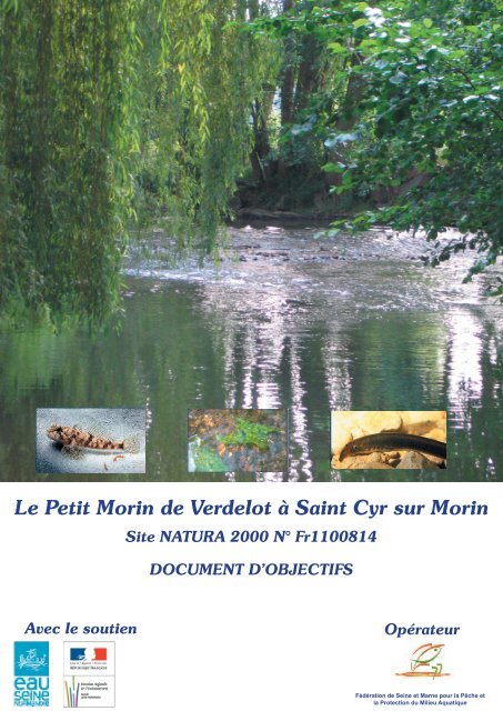 Le Petit Morin de Verdelot Ã  Saint Cyr sur Morin Site ... - Webissimo