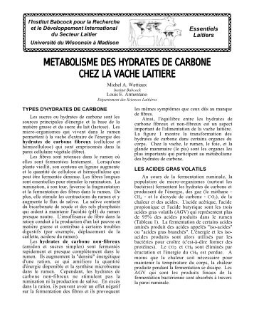 metabolisme des hydrates de carbone chez la ... - Babcock Institute