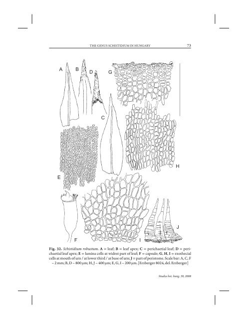 THE GENUS SCHISTIDIUM (GRIMMIACEAE, MUSCI) IN HUNGARY ...