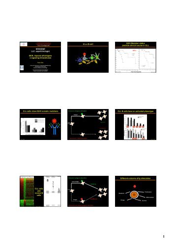 01 Ghia.ppt [Sola lettura] - siesonline