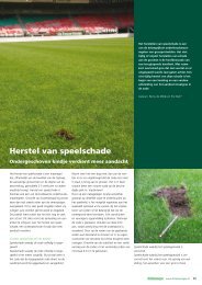 Herstel van speelschade - Fieldmanager nr. 4, 2011 (pagina 29-33)