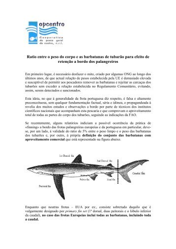 Ratio entre o peso do corpo e as barbatanas de tubarÃ£o ... - CCR.S