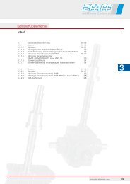 Katalogauszug: Spindelhubelemente HSE - Pfaff-silberblau