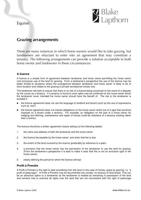 Equine Grazing arrangements - Blake Lapthorn