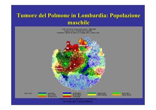 Effetti a breve e a lungo termine dell'inquinamento atmosferico sulla ...