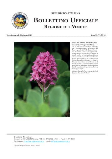 Bur N 053 Del 25 Giugno 2013 - Associazione Realtà Veneta