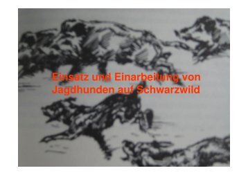 Einsatz und Einarbeitung von Jagdhunden auf Schwarzwild