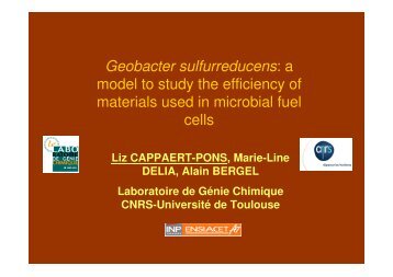 Geobacter sulfurreducens - Microbial Fuel Cells