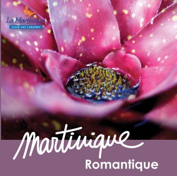 Brochure Romantique ENG-1 - copie - Martinique
