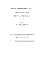 Outline of Quino Recovery Plan - The Xerces Society