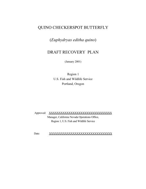 Outline of Quino Recovery Plan - The Xerces Society