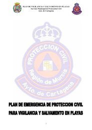 PLAN DE VIGILANCIA Y SALVAMENTO EN PLAYAS Servicio ...