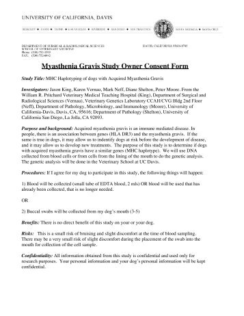 Myasthenia gravis neurological exam