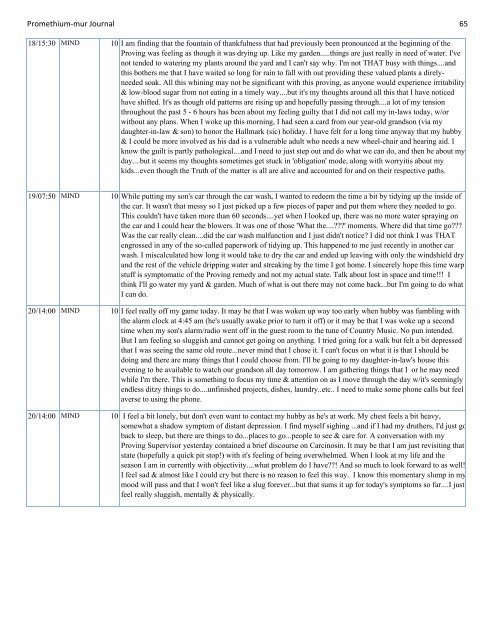 Promethium muriaticum Entire Proving Journal