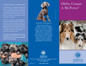 Debo Cruzar A Mi Perro? ? - American Kennel Club