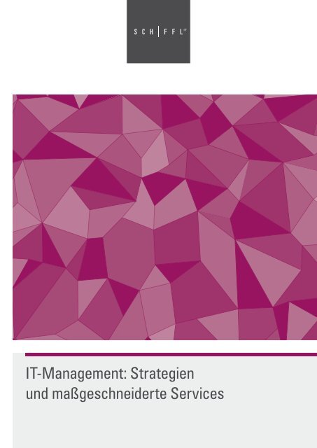 IT-Management: Strategien und maßgeschneiderte Services