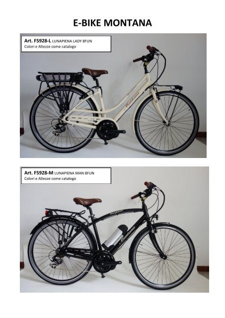 E-BIKE MONTANA