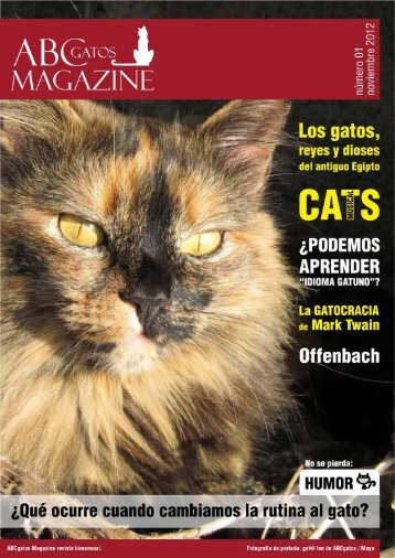 ABC Gatos Magazine.pdf