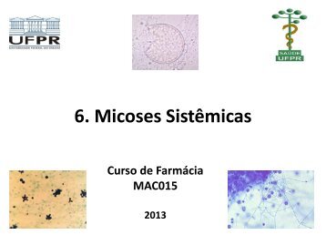 6. Micoses Sistêmicas