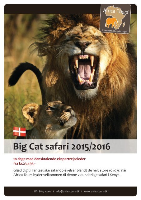 Big Cat Safari