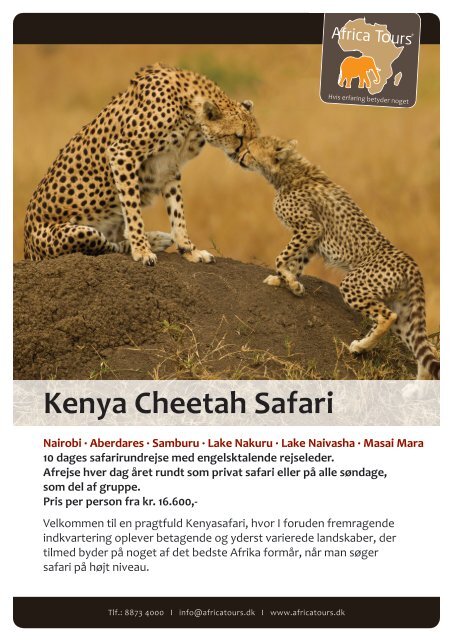 Kenya Cheetah Safari