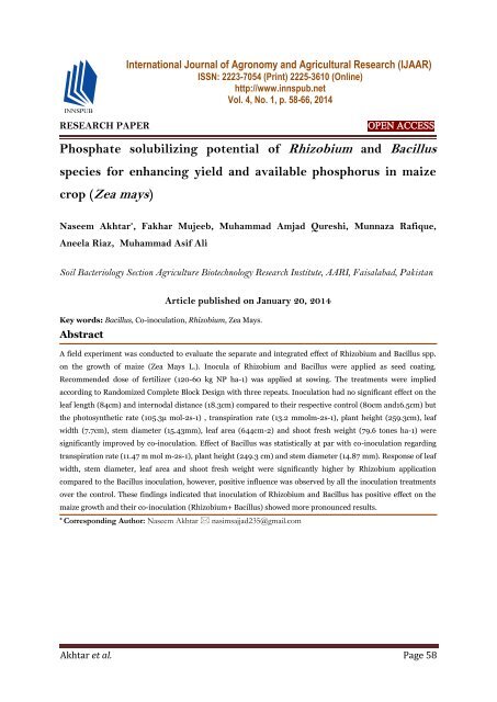 Phosphate solubilizing potential of Rhizobium and Bacillus species for enhancing yield and available phosphorus in maize crop (Zea mays)