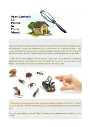 Pest Control: 10 Points to Think About