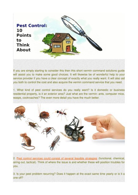 Pest Control: 10 Points to Think About