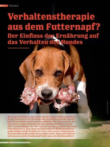 Verhaltenstherapie aus dem Futternapf?