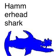 Hammerhead shark