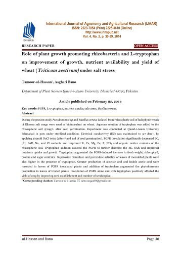 Role of plant growth promoting rhizobacteria and L-tryptophan on improvement of growth, nutrient availability and yield of wheat (Triticum aestivum) under salt stress