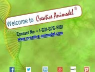 CELEBRATE THIS CHRISTMAS WITH GREAT DISCOUNT OFFER BY Creative Animodel