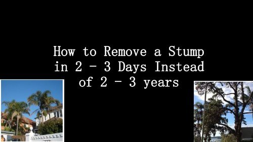 How to Remove a Stump in 2 - 3 Days Instead of 2 - 3 years