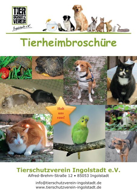 Tierheimbroschüre