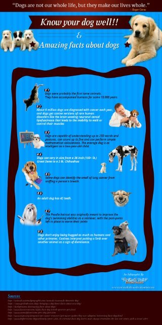 An Infographic on Rare Dog Facts