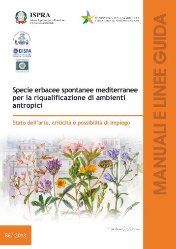 Specie-Erbacee-Spontanee-Mediterraneee-Per-La-Riqualificazione-Di-Ambienti-Antropizzati