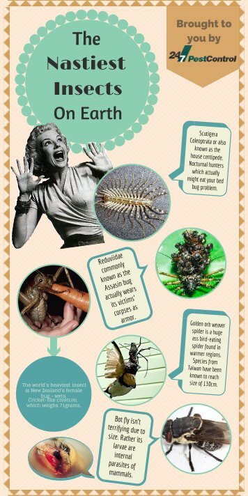 The Nastiest Insects On Earth