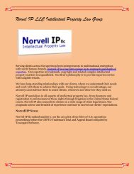 Norvel IP LLC Intellectual Property Law Group