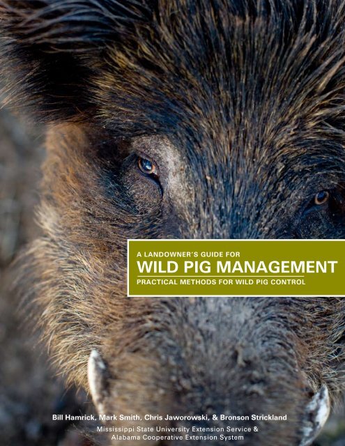 WILD PIG MANAGEMENT - Florida Fish and Wildlife Conservation ...