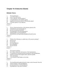 Chapter 18: Endocrine Glands