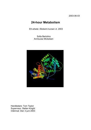 24-hour metabolism, Vad hÃ¤nder? Inledning