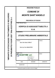 Studio Preliminare A.. - Ambiente e Territorio della Capitanata