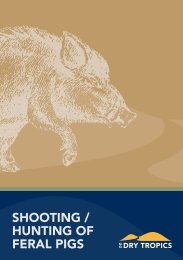 SHOOTING / HUNTING OF FERAL PIGS - Wiki - NQ Dry Tropics
