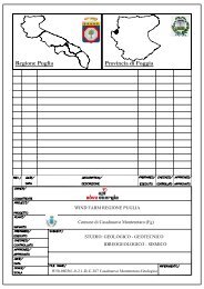 46-Studio geol_geot_.. - Ambiente e Territorio della Capitanata