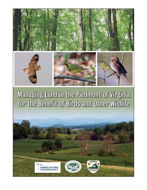 Managing Land in the Piedmont for Birds & Other Wildlife - Virginia ...