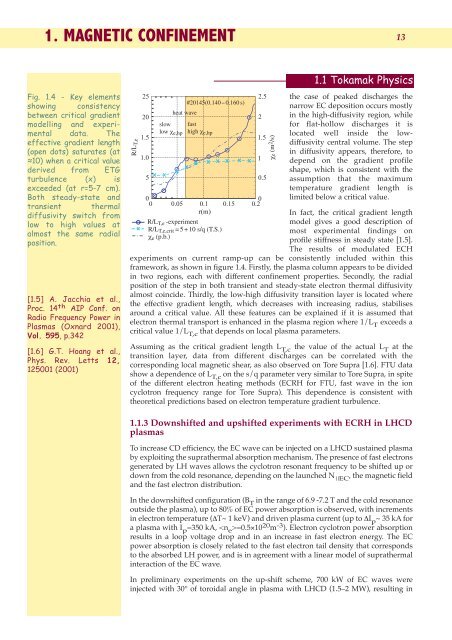 1. magnetic confinement - ENEA - Fusione